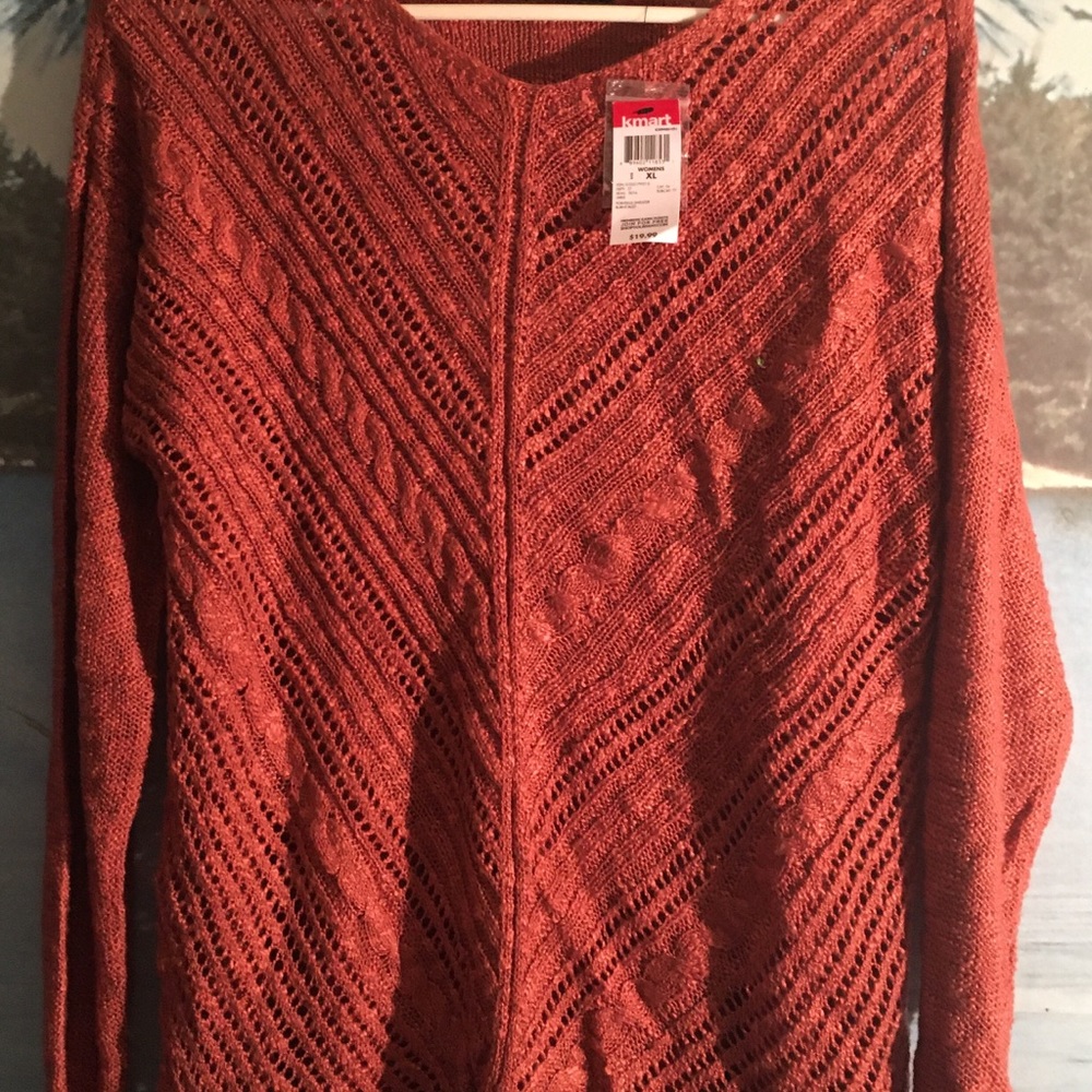 Nice Rust colored Sweater top by Attention